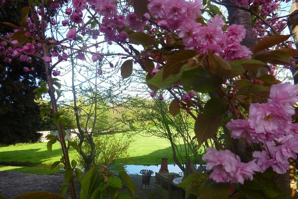 Bloom Bed and breakfast