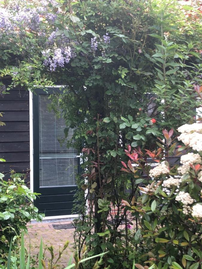 Bed and breakfast Bloom Ámsterdam